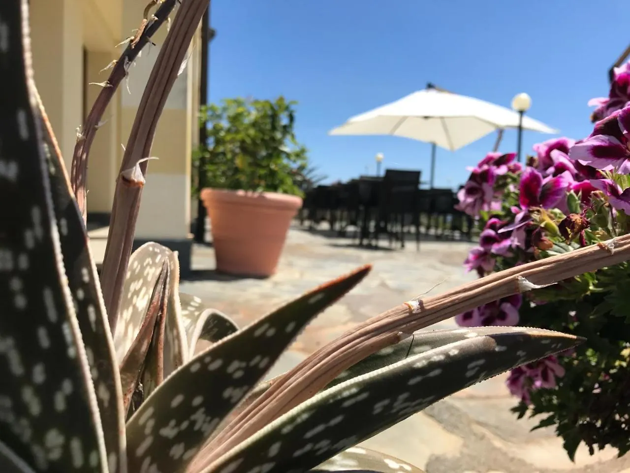 Hotel Albergo Luna di Marzo Volastra